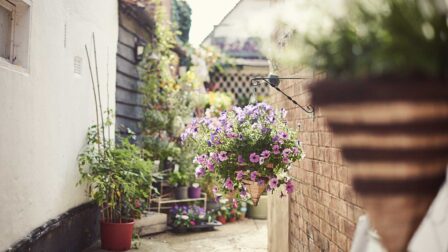 Hanging baskets with flowers - Chelmsford - Beresfords Estate agents - Essex