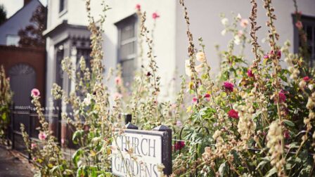 Road sign and greenery - Chelmsford - Beresfords Estate agents - Essex