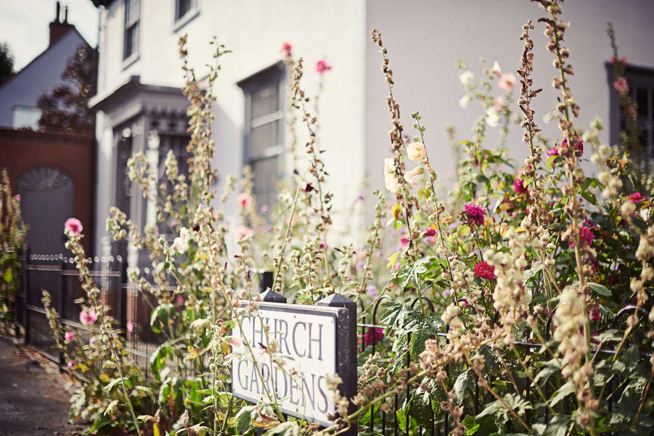 Road sign and greenery - Chelmsford - Beresfords Estate agents - Essex