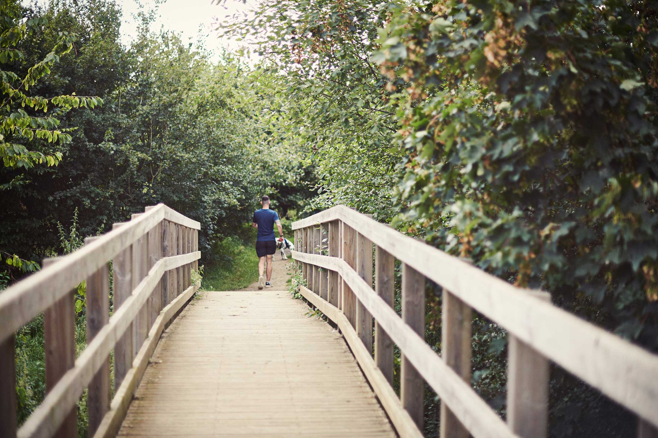 Man running with dog across bridge - Chelmsford - Beresfords Estate agents - Essex