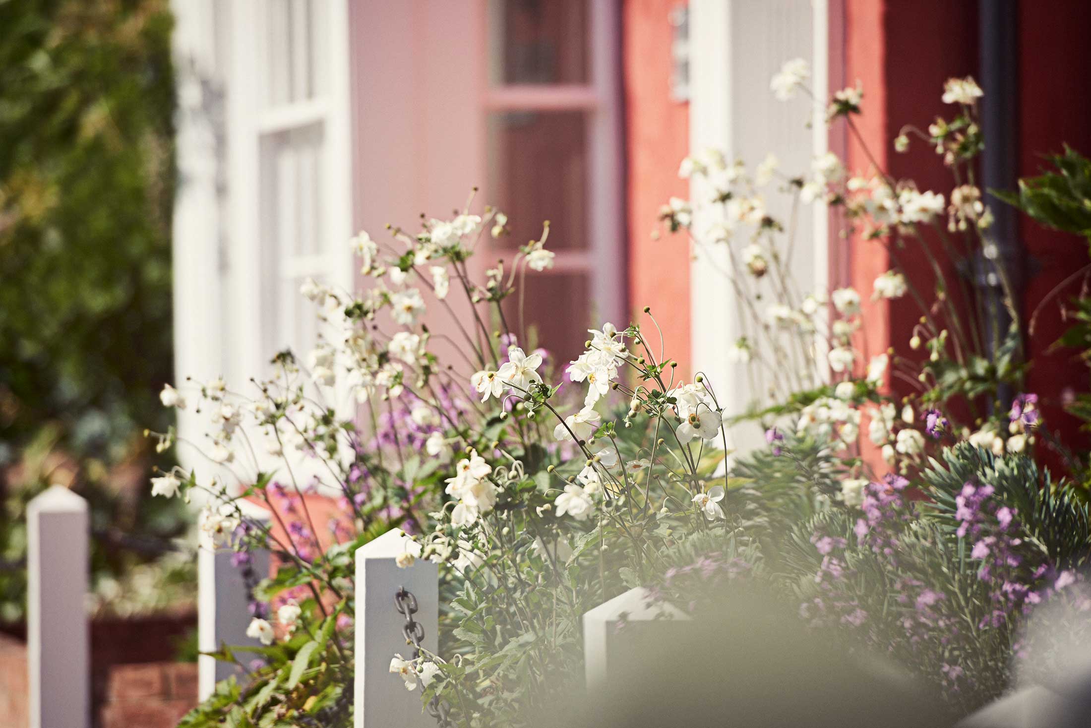 Flowers in front of colourful houses - Dedham - Beresfords Estate agents - Essex