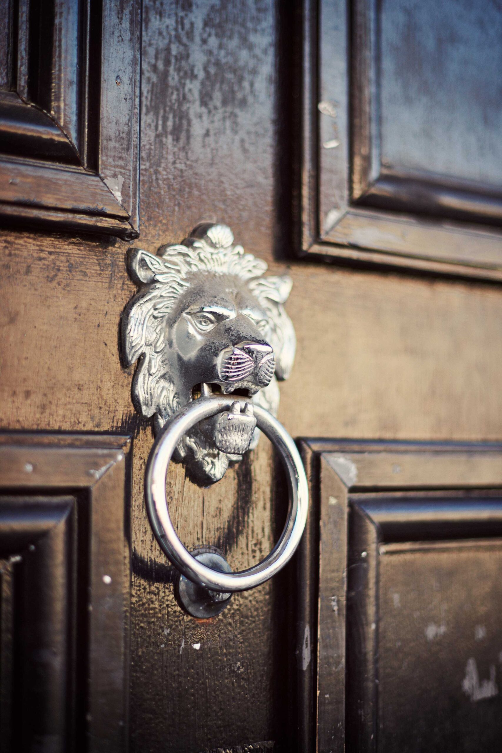 Lion door knocker - Colchester - Beresfords Estate agents - Essex