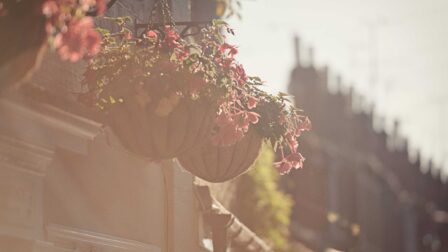 Hanging baskets with flowers - Colchester - Beresfords Estate agents - Essex