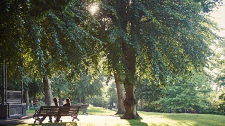 Friends sat on park bench - Colchester - Beresfords Estate agents - Essex