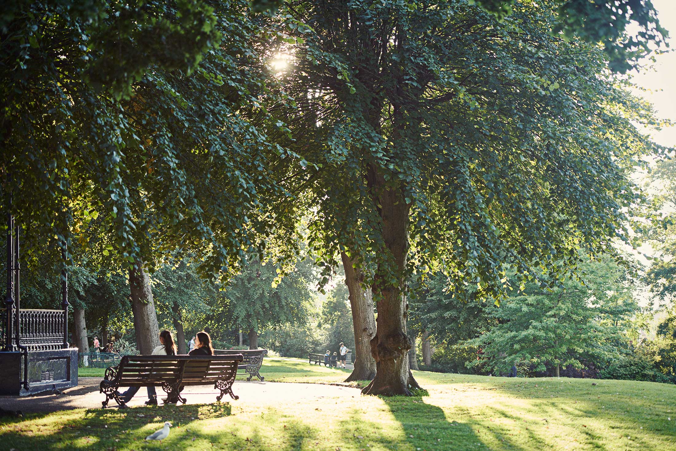 Friends sat on park bench - Colchester - Beresfords Estate agents - Essex