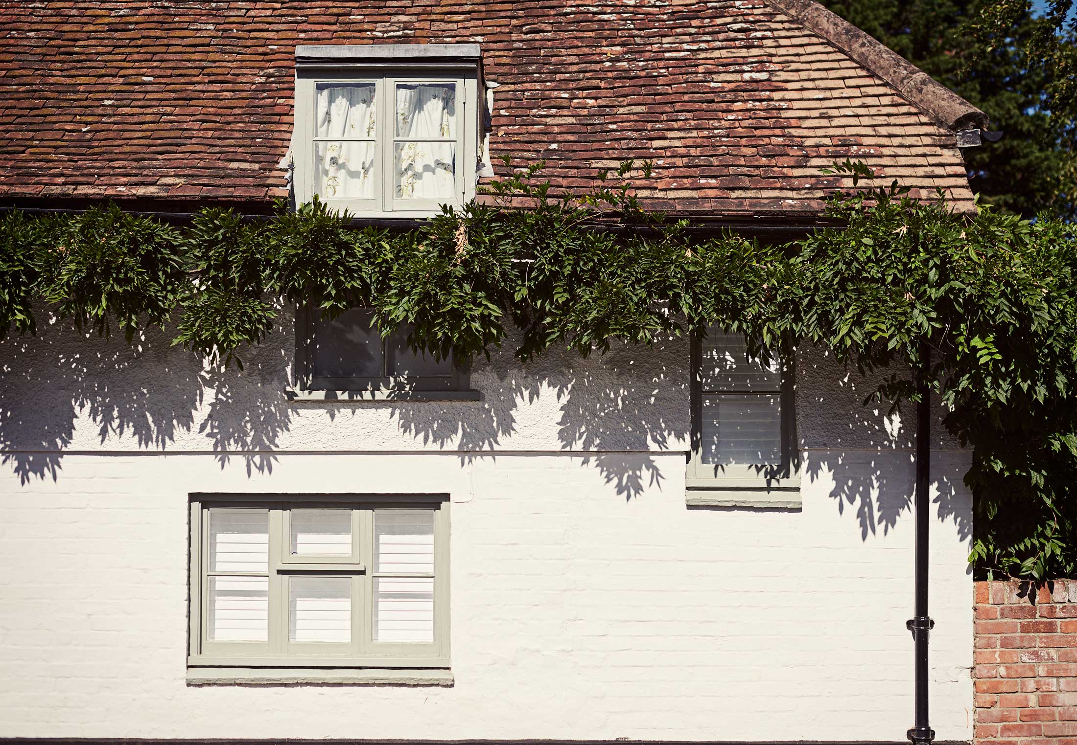 White building with greenery - Dedham - Beresfords Estate agents - Essex