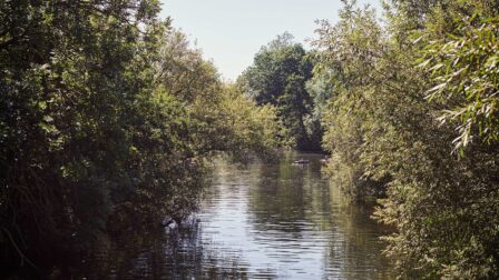 River surrounded by trees - Dedham - Beresfords Estate agents - Essex