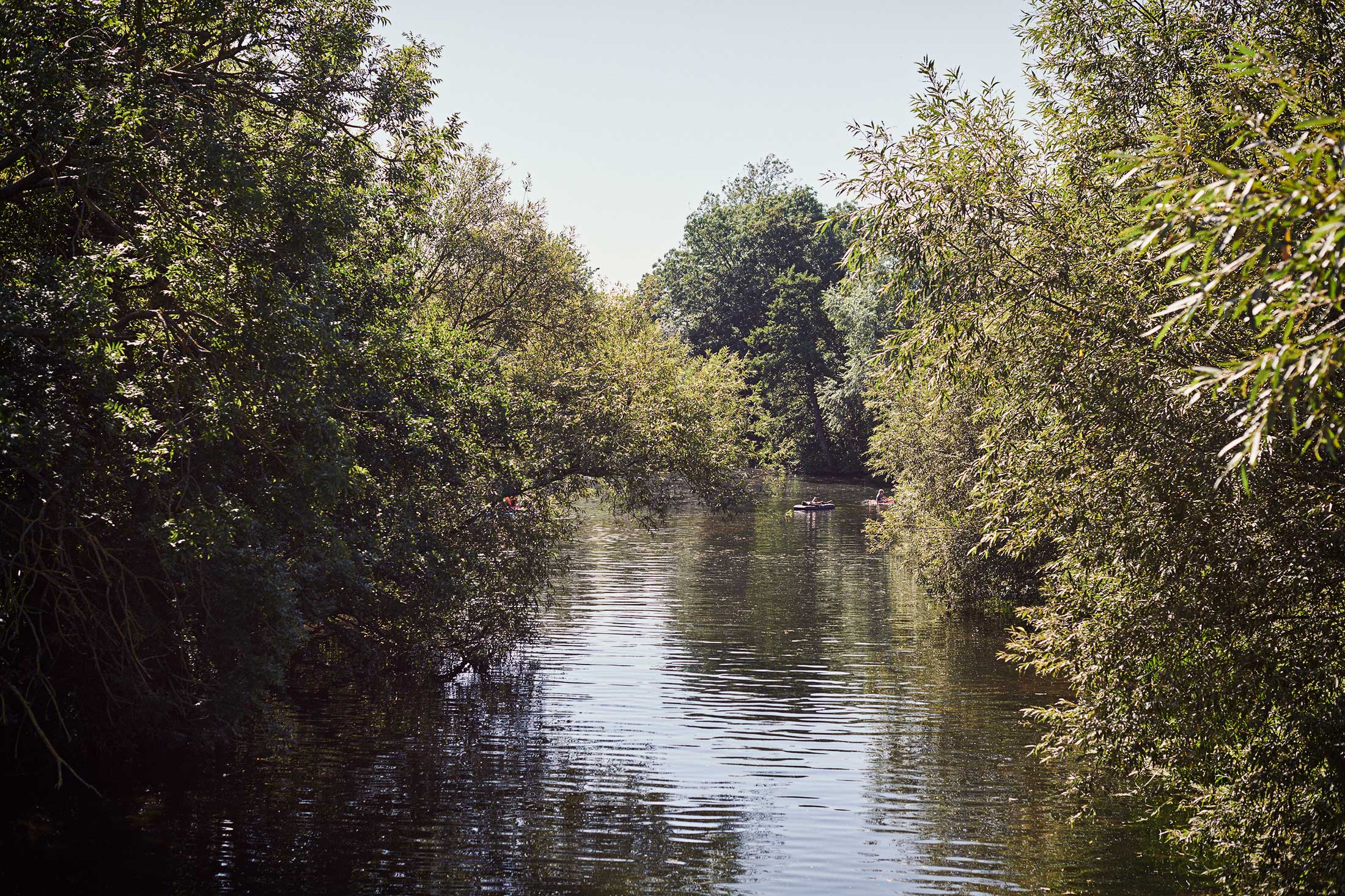 River surrounded by trees - Dedham - Beresfords Estate agents - Essex