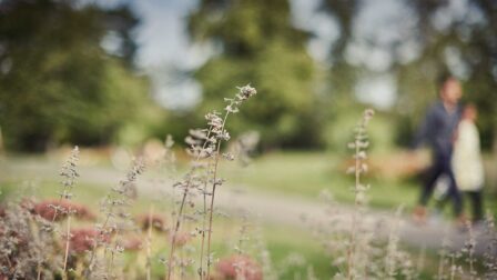 Couple walking through park - London - Beresfords Estate agents - Essex