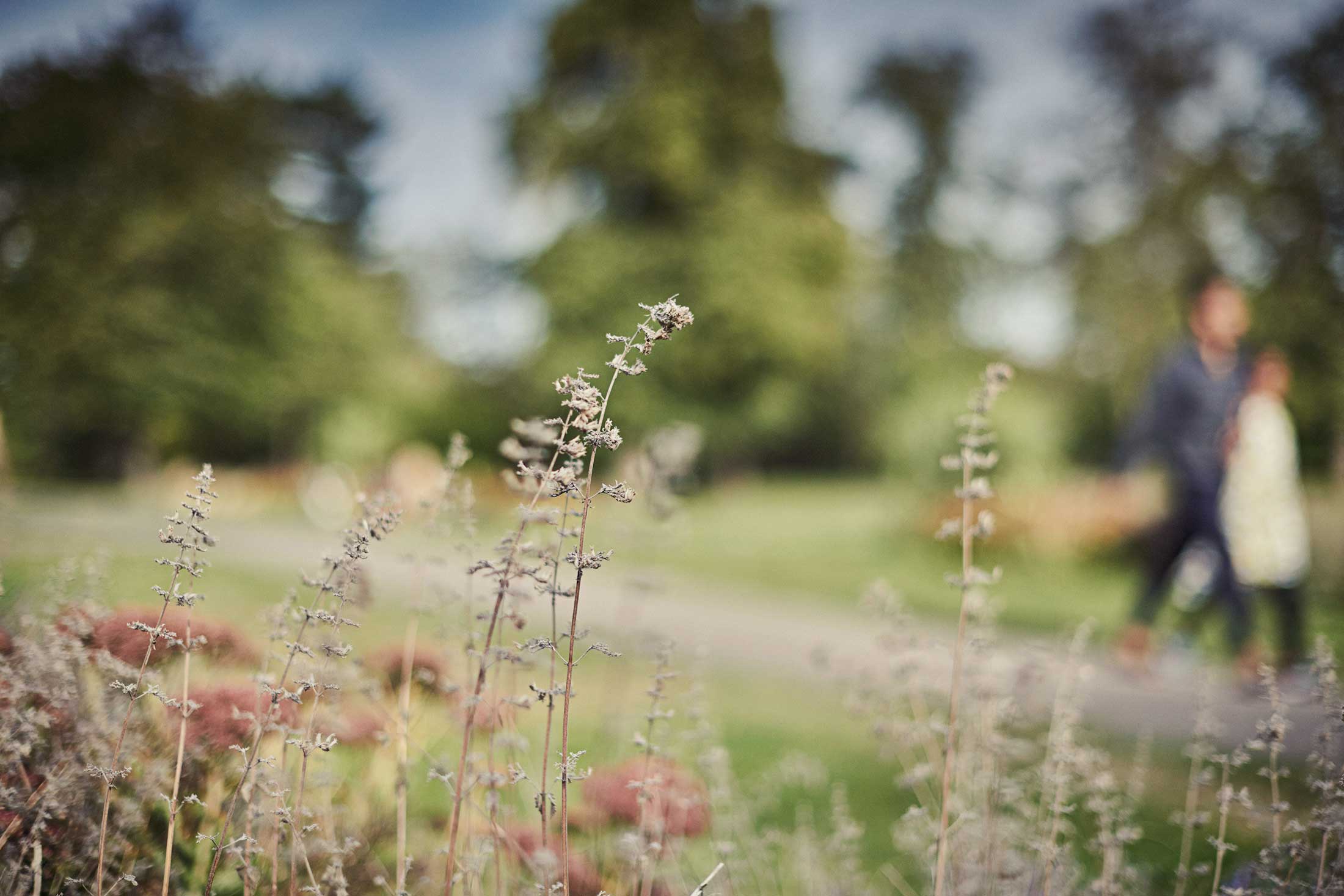 Couple walking through park - London - Beresfords Estate agents - Essex