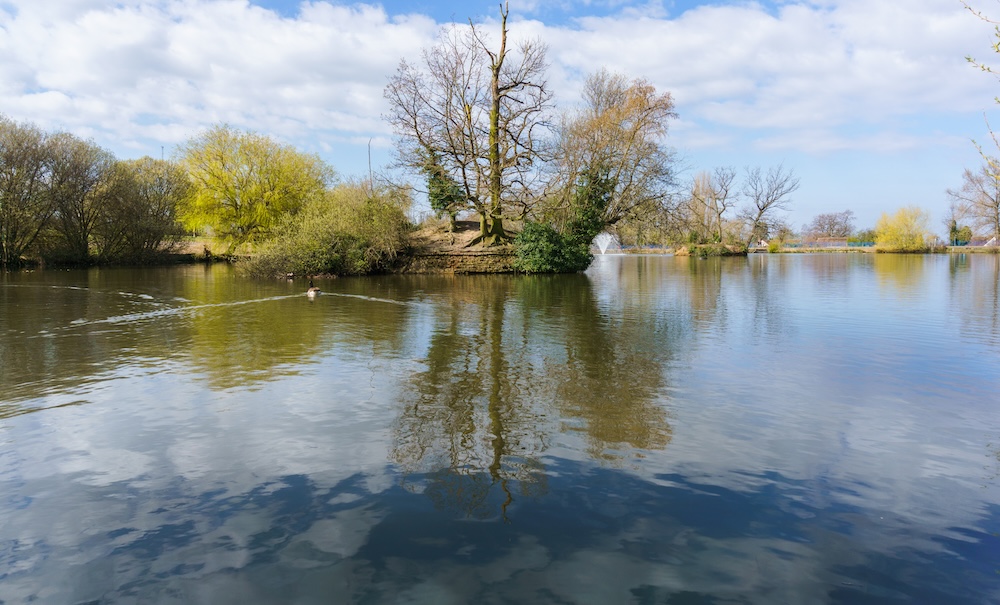 Lake Meadows
