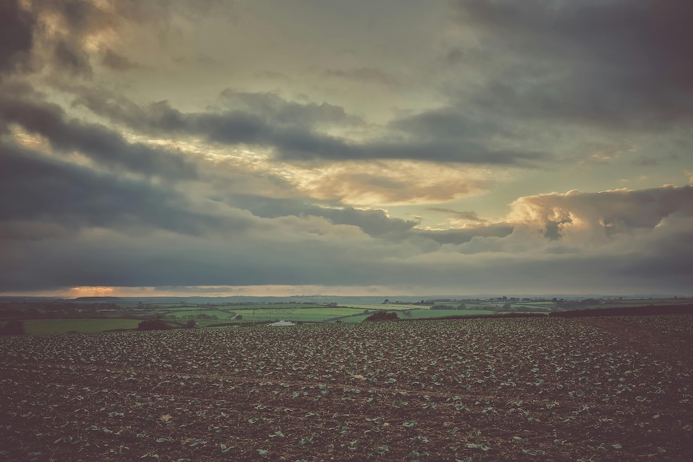 selling land